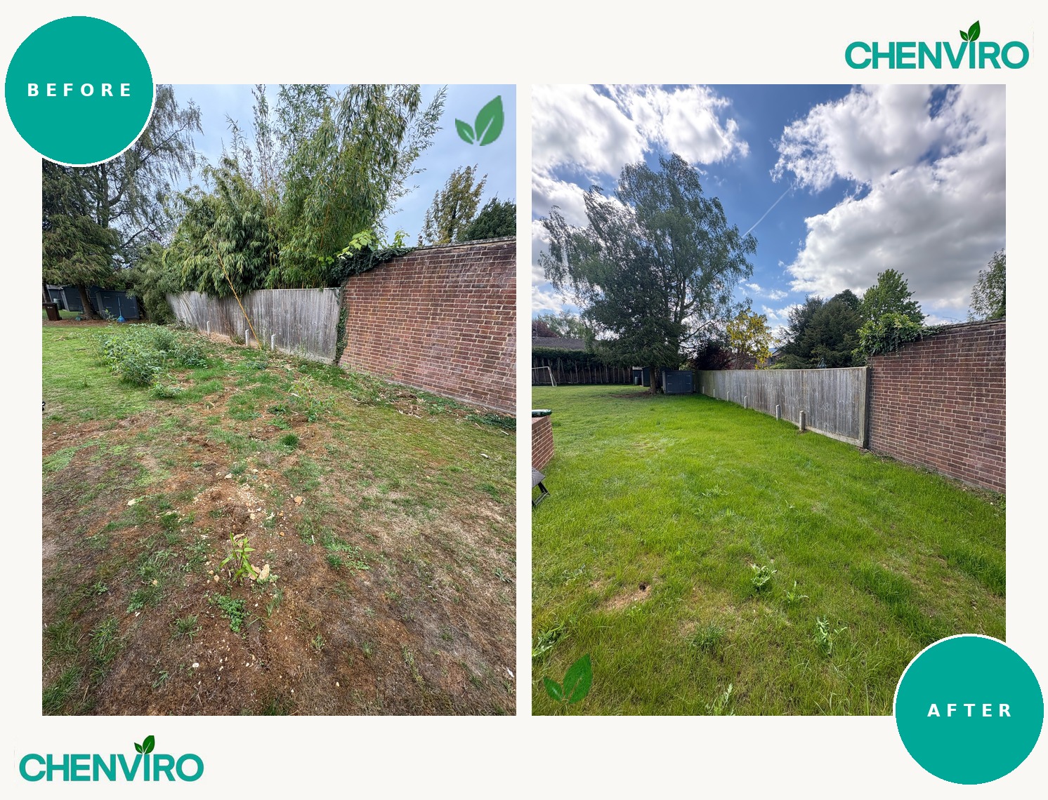 Bamboo removal, Banbury, Oxfordshire – before and after
