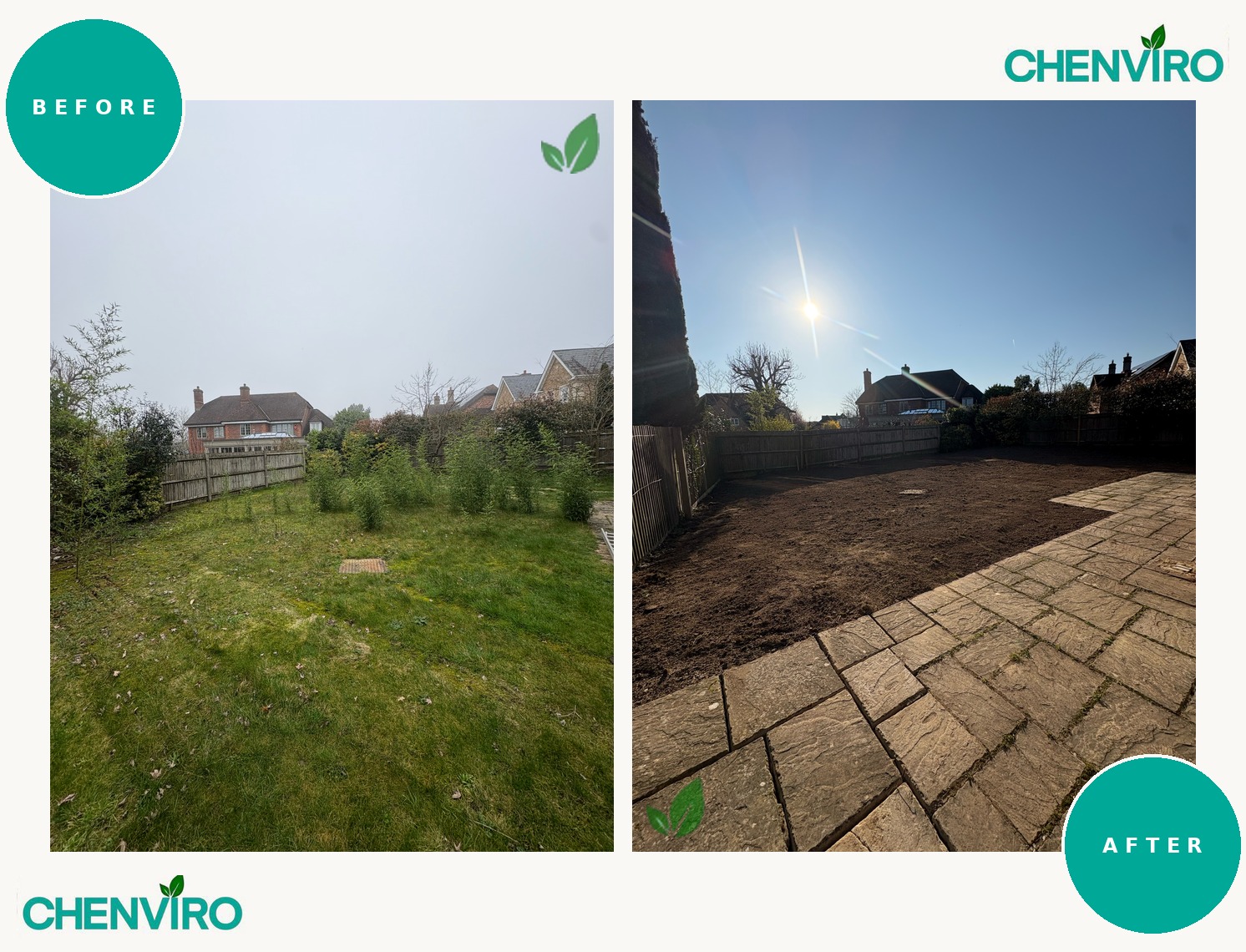 Bamboo removal, Beaconsfield, Buckinghamshire – before and after
