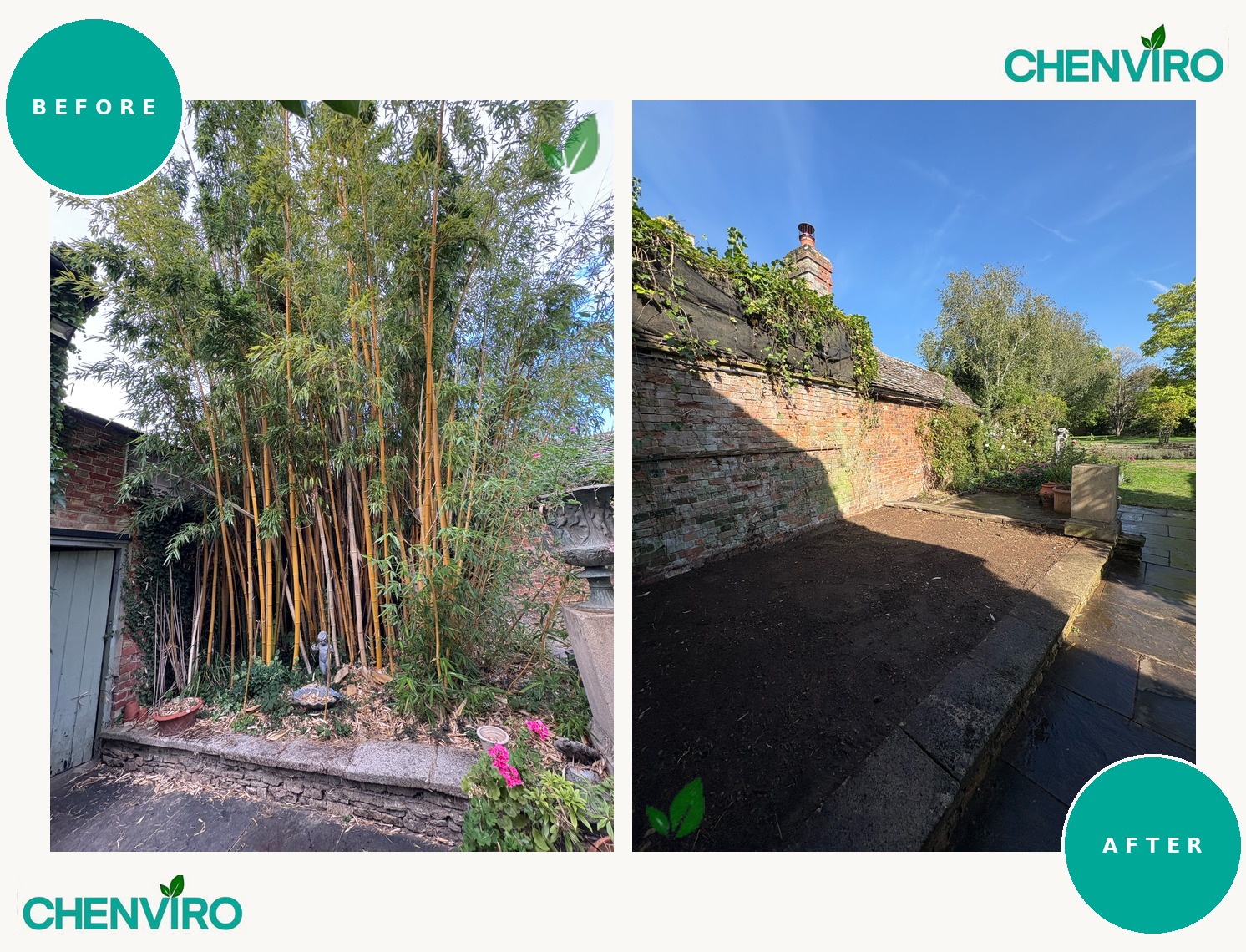 Bamboo removal, Gloucestershire – before and after