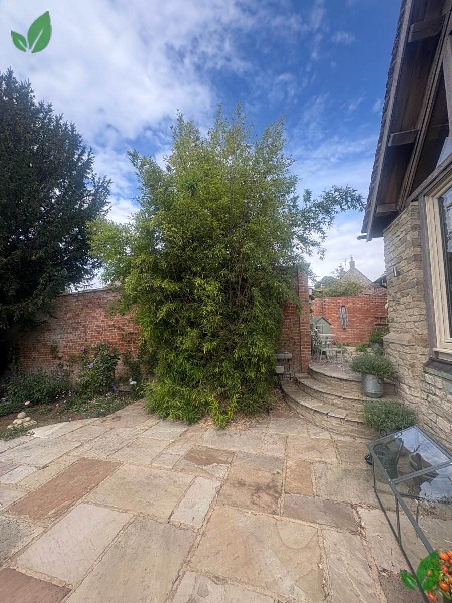 Bamboo excavation step 1
