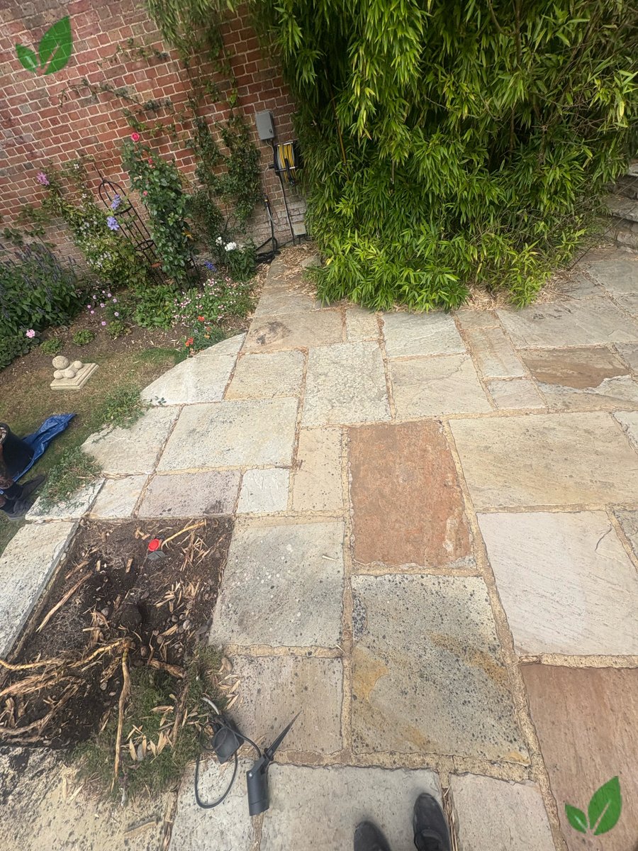 Bamboo excavation step 3