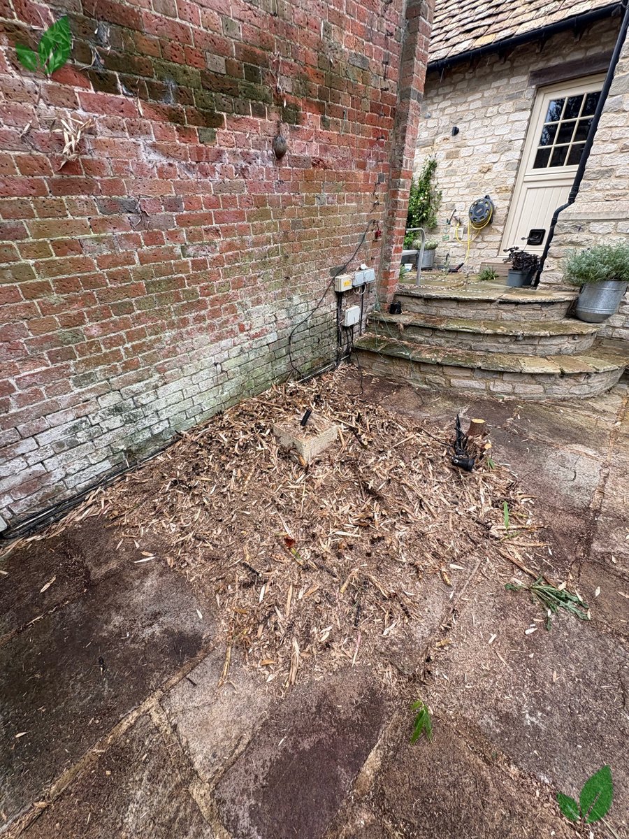 Bamboo excavation step 5