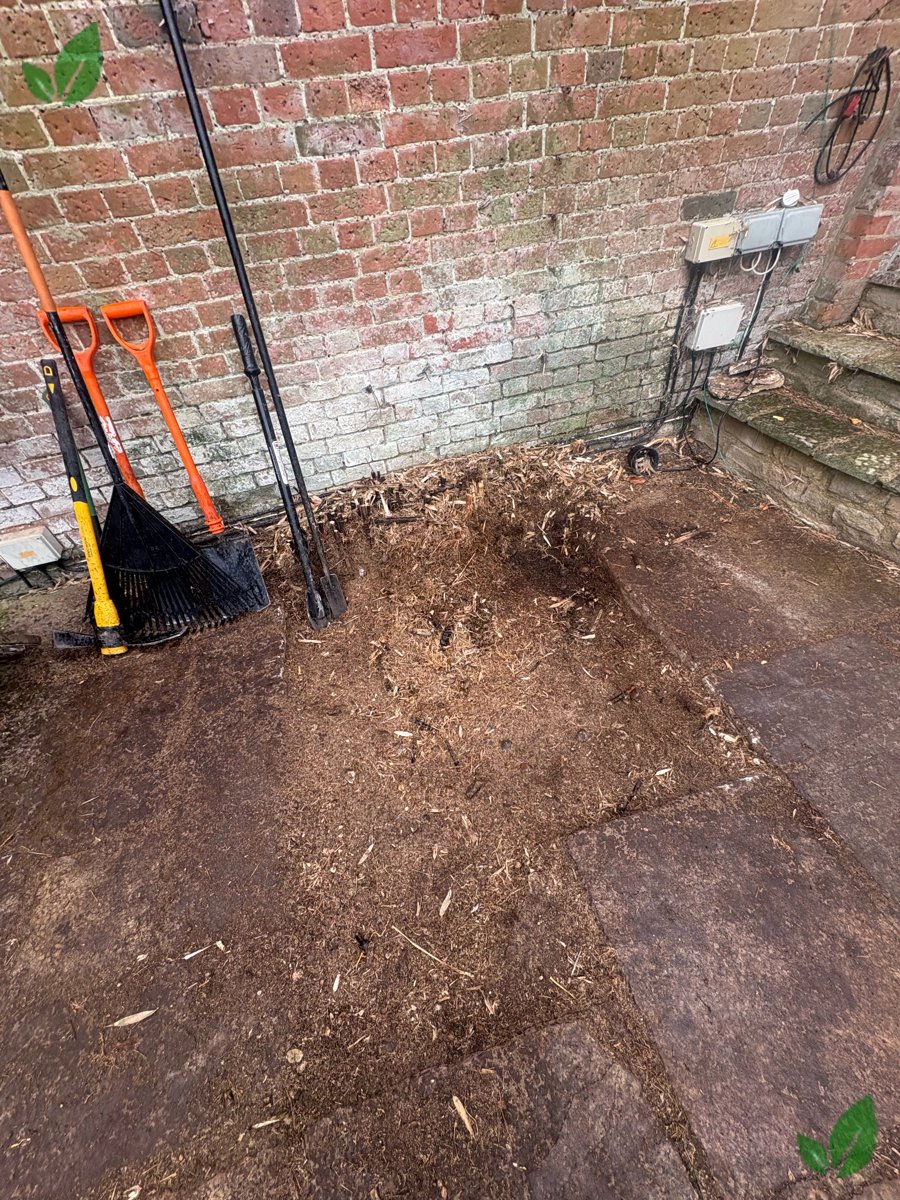 Bamboo excavation step 6