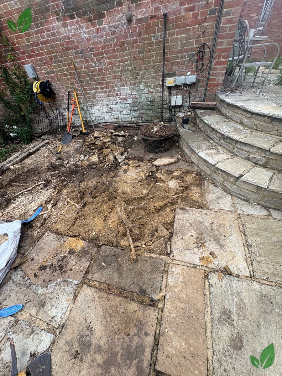 Bamboo excavation step 9