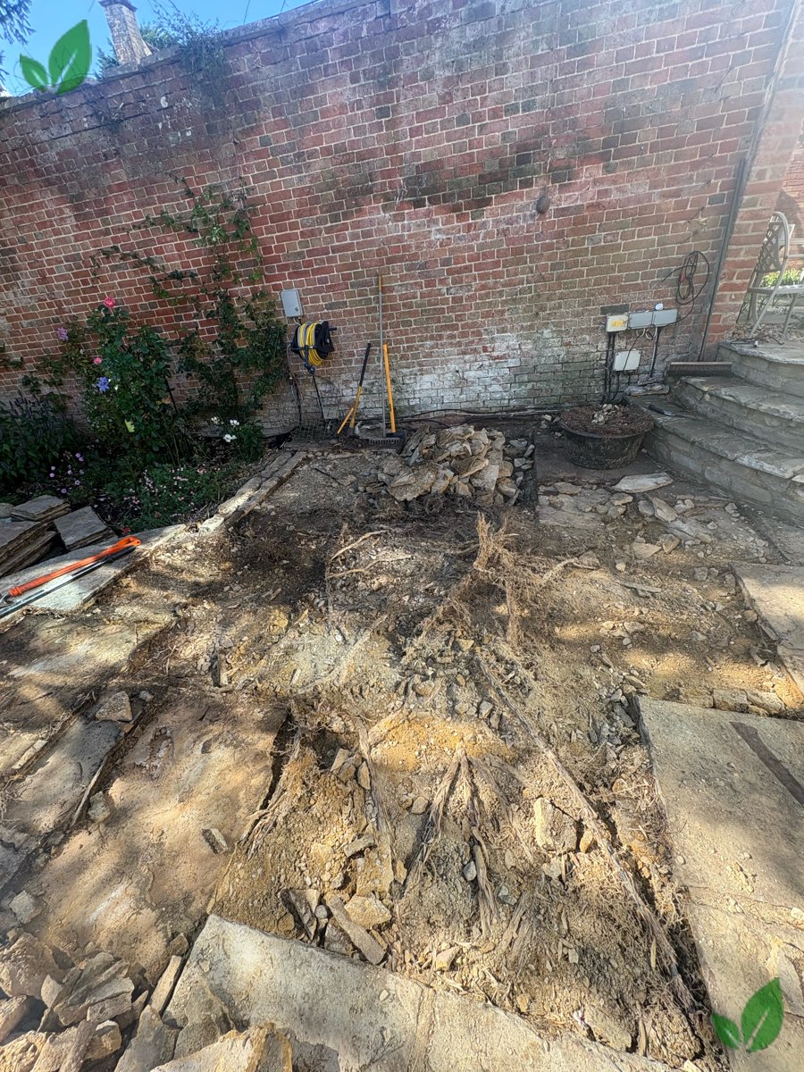 Bamboo excavation step 10