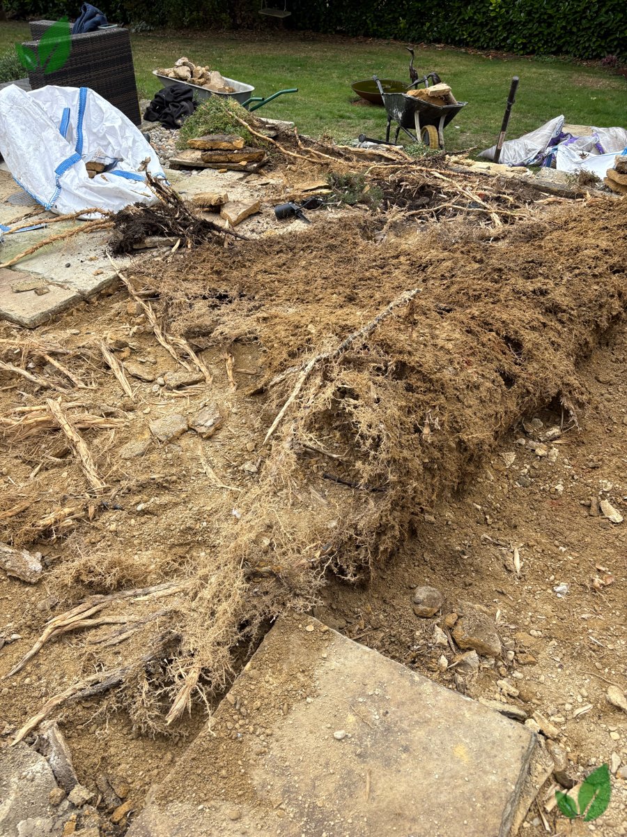 Bamboo excavation step 12
