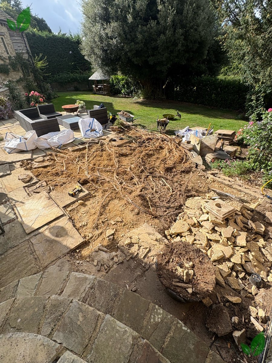 Bamboo excavation step 13
