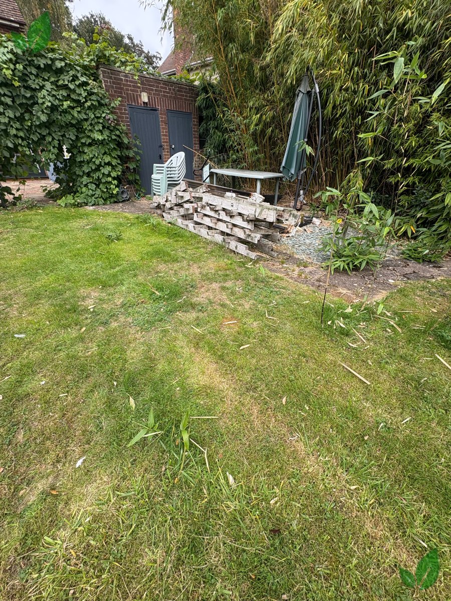 Bamboo excavation step 2
