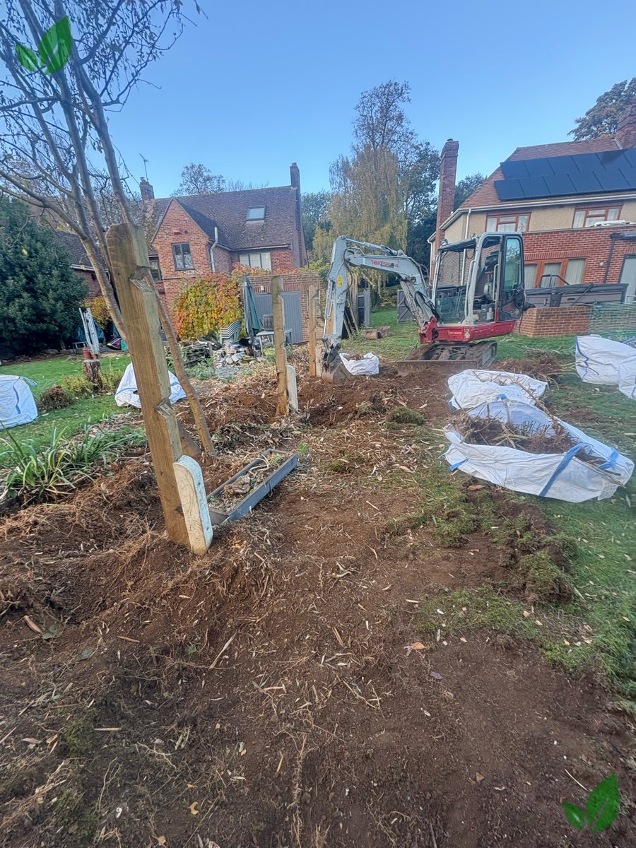Bamboo excavation step 9