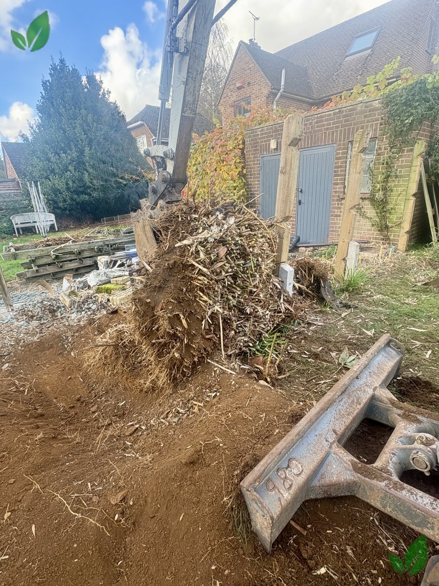 Bamboo excavation step 10