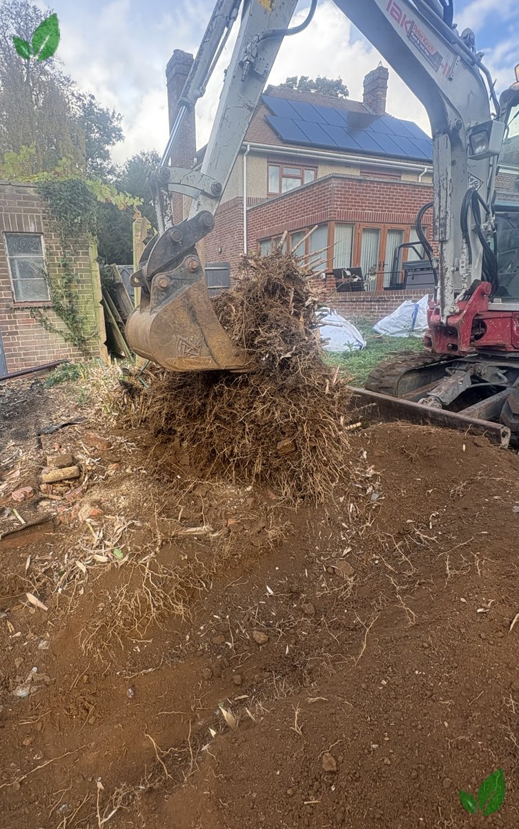 Bamboo excavation step 11