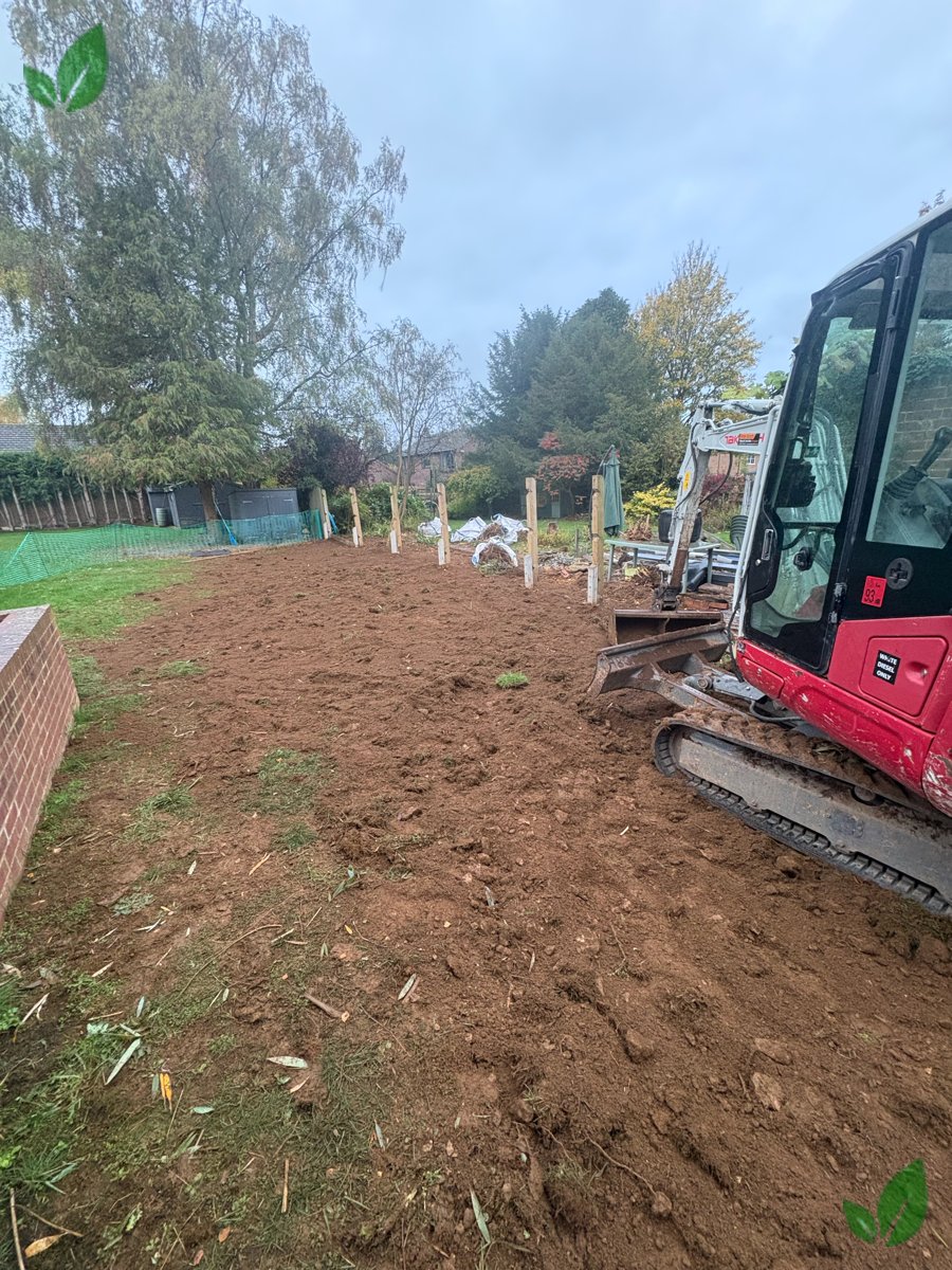 Bamboo excavation step 16