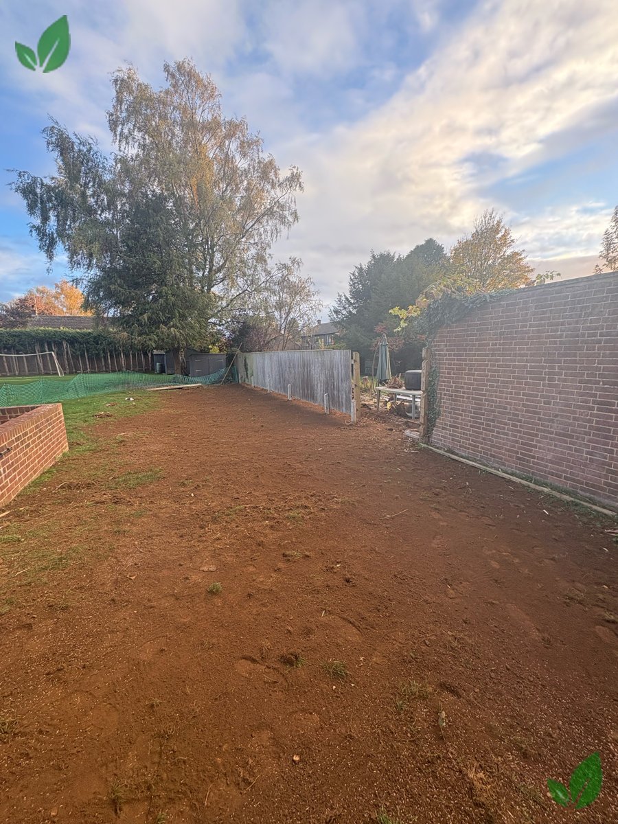 Bamboo excavation step 17