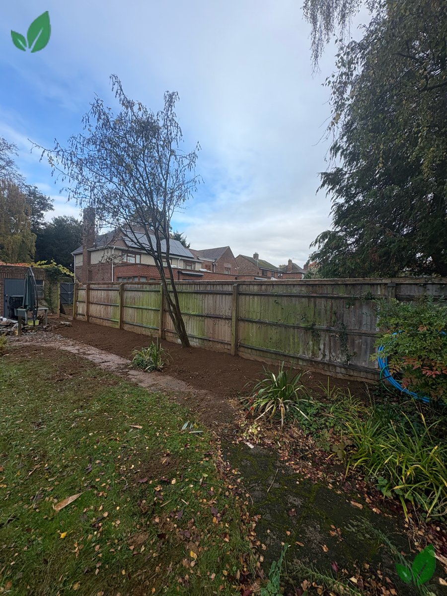 Bamboo excavation step 18