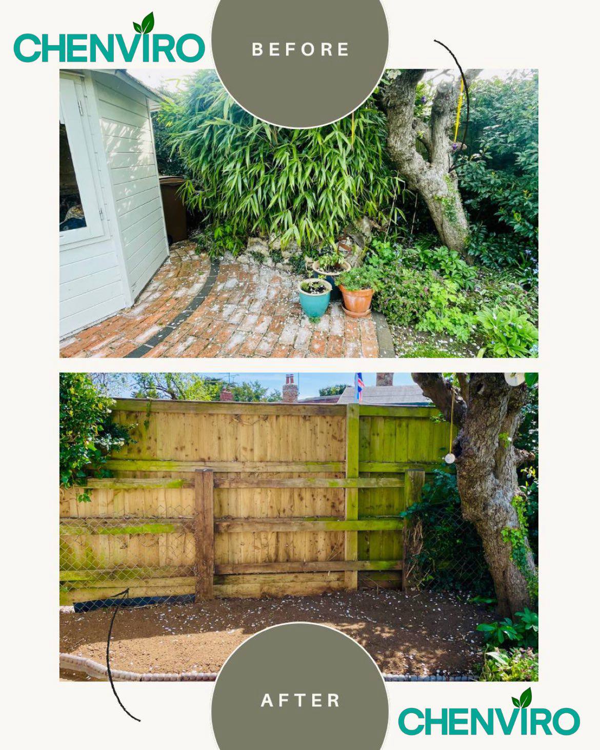 Bamboo removal before and after in Wiltshire