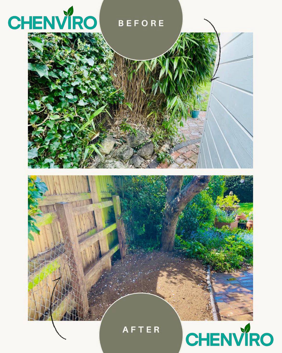 Bamboo removal before and after in Wiltshire