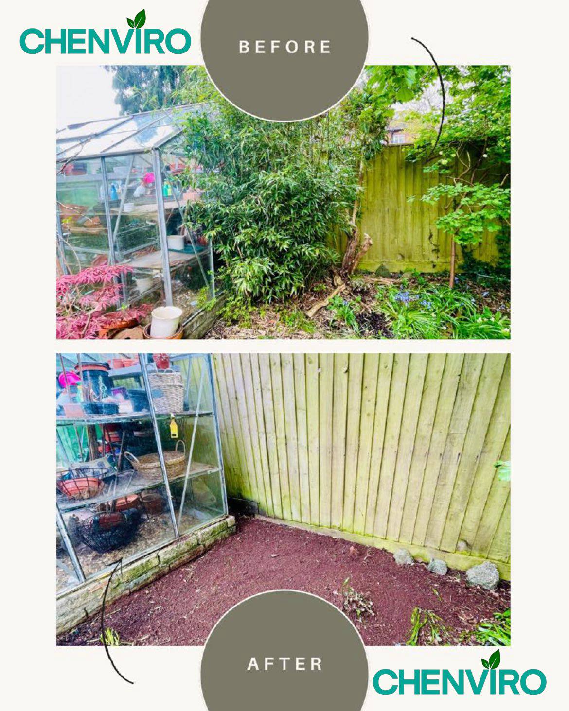 Bamboo removal before and after in Bath