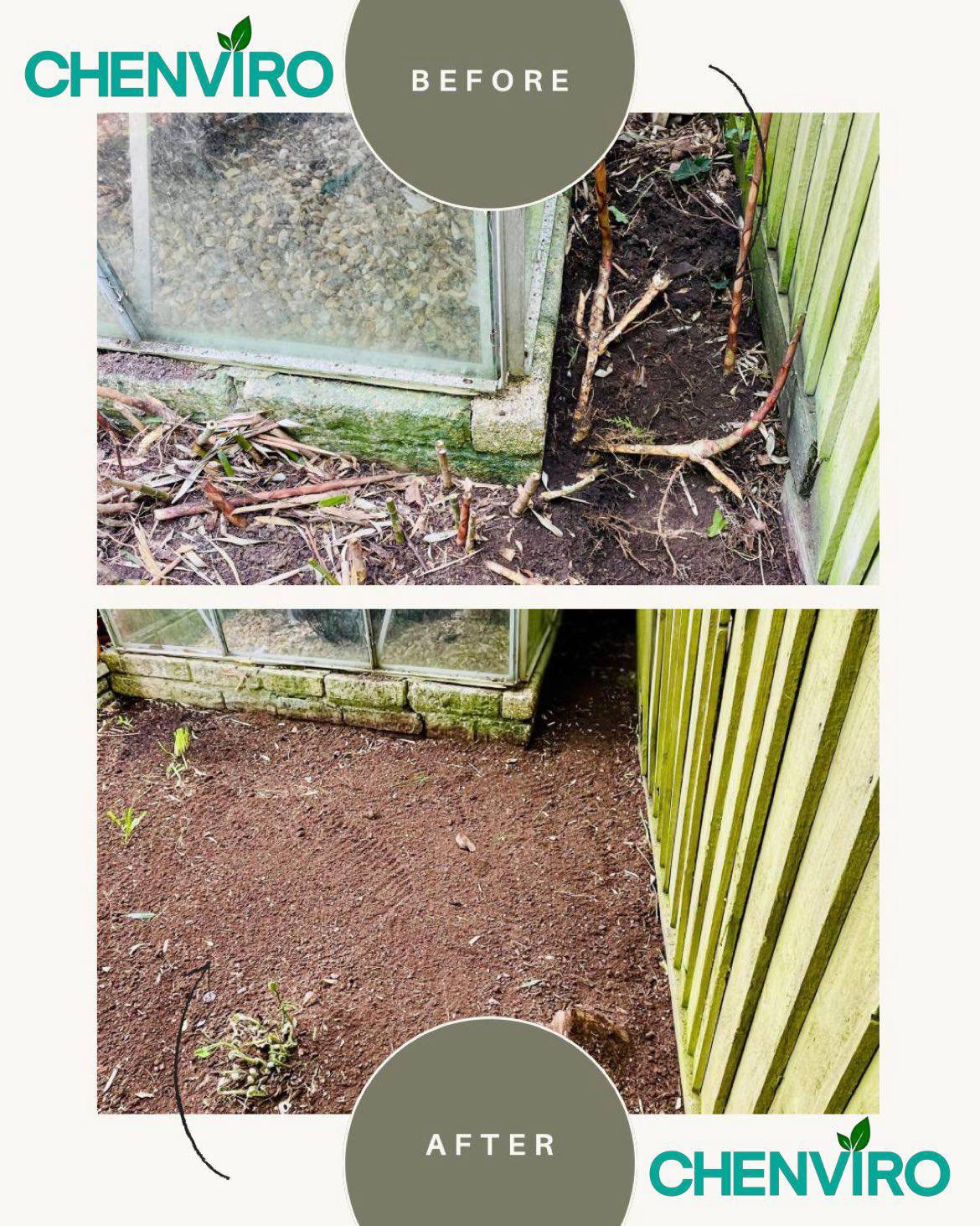 Bamboo removal before and after in Somerset