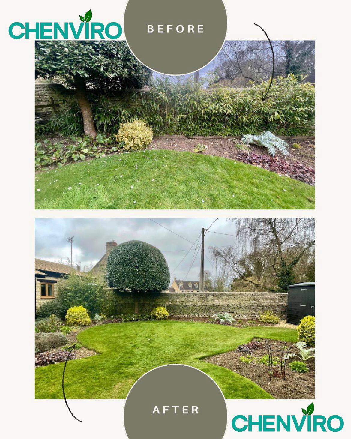 Bamboo removal before and after in Dorset