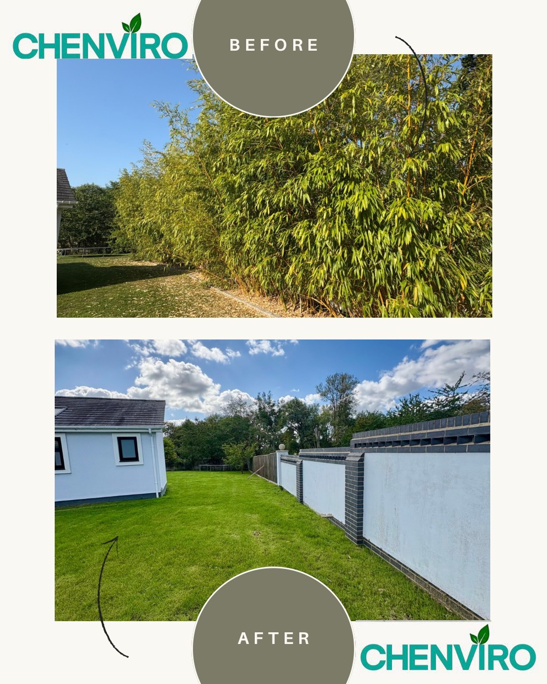 Bamboo removal before and after in Oxfordshire