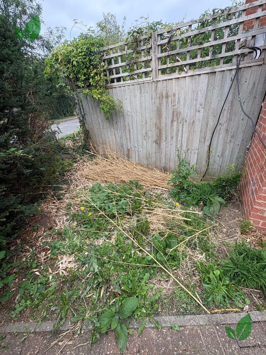 Bamboo excavation step 1