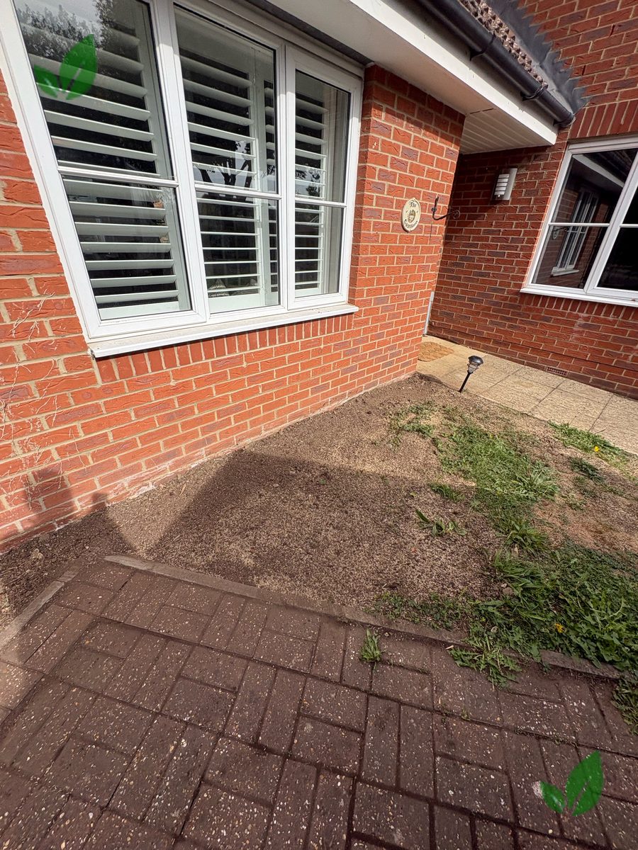 Bamboo excavation step 8