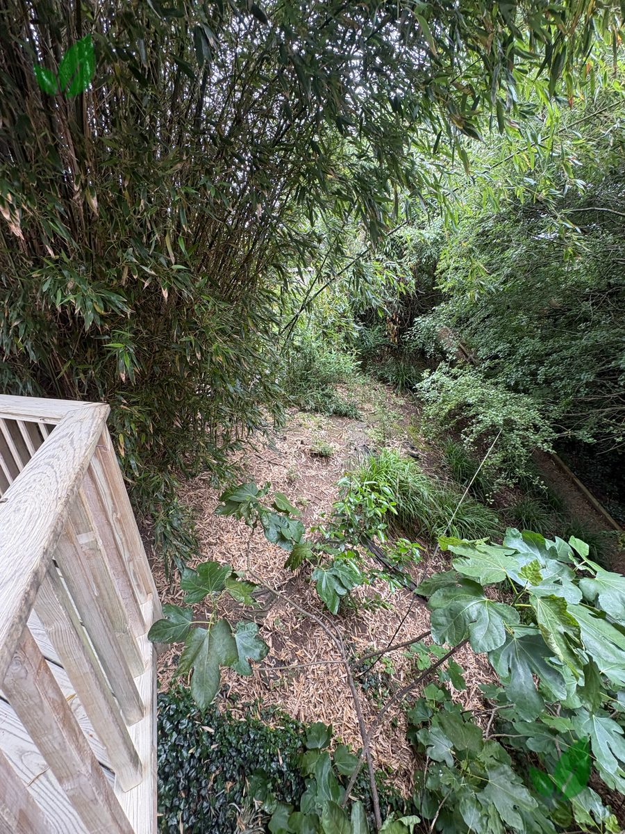 Bamboo excavation step 4
