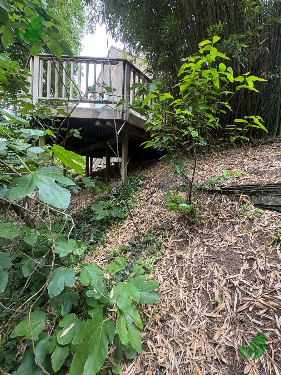 Bamboo excavation step 7