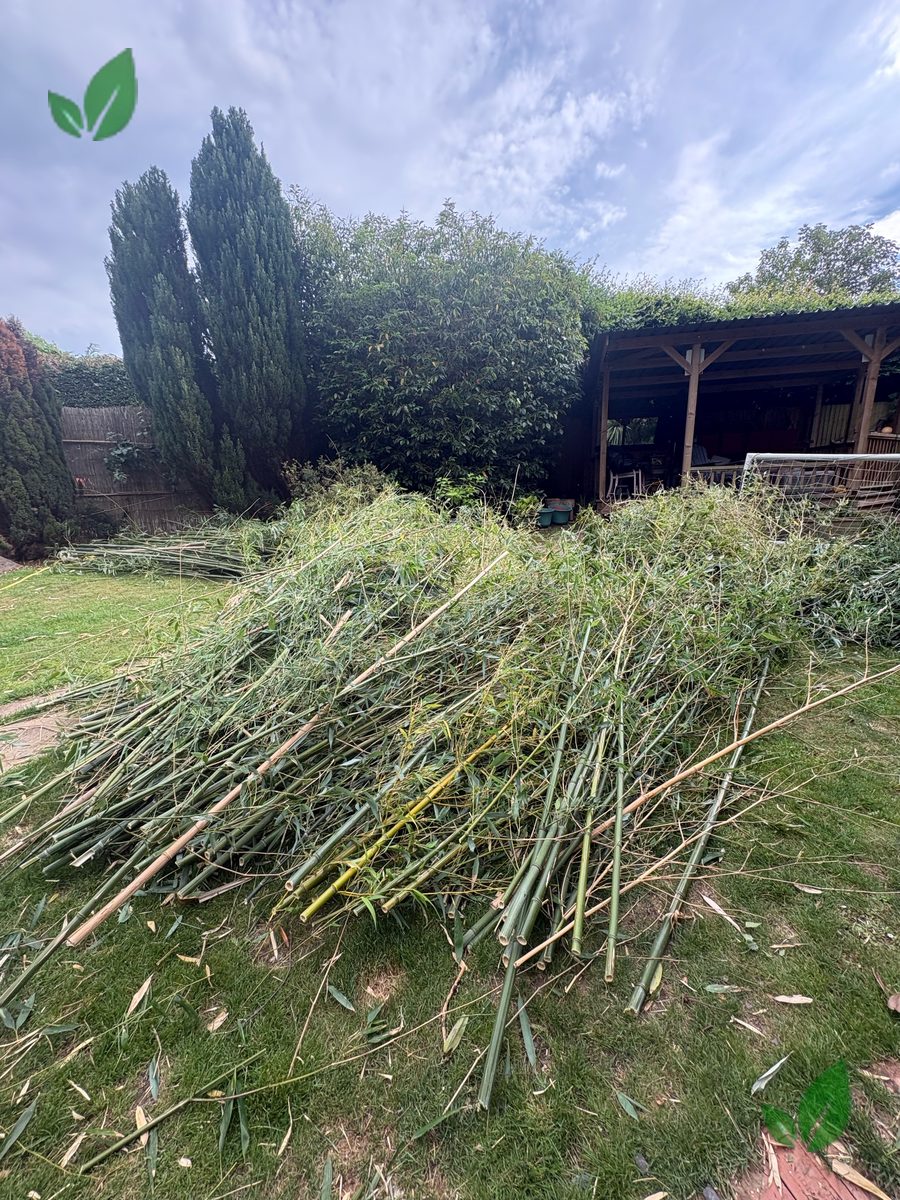 Bamboo excavation step 10
