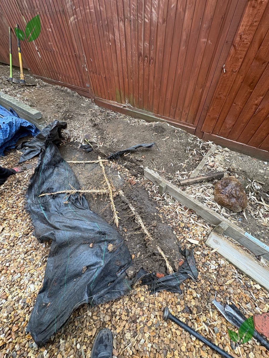 Bamboo excavation step 3