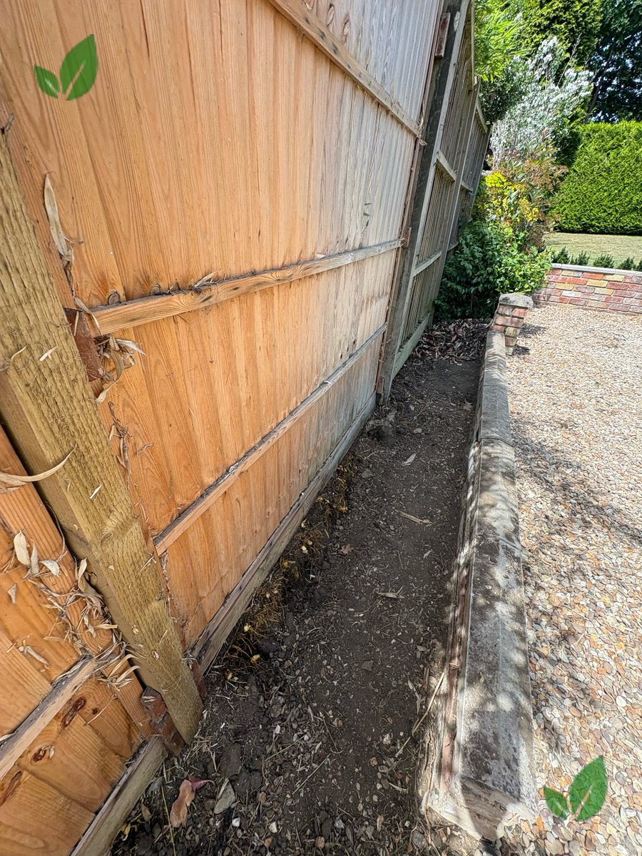Bamboo excavation step 5